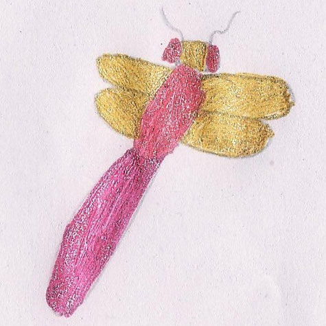Pink dragonfly