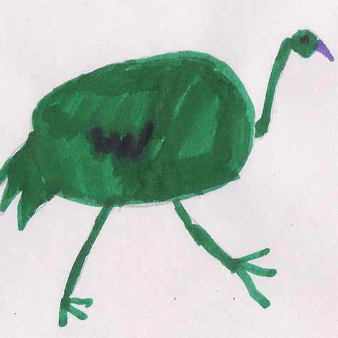 Green ostrich
