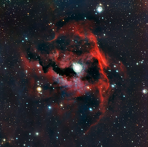 A month in Space: a stellar nursery nicknamed the Seagull Nebula
