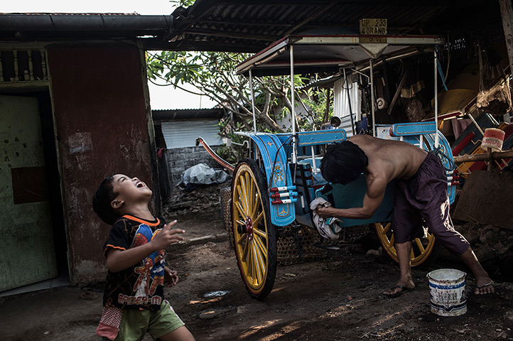 Vanishing Dokar, Bali: The Vanishing Dokar Of Denpasar