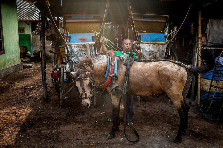 Vanishing Dokar, Bali: Dokar driver, Nyoman Mantra Manik, takes off his horses harness