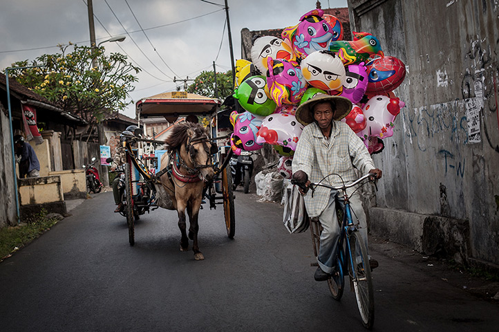 Vanishing Dokar, Bali: Deliveries by Dokar