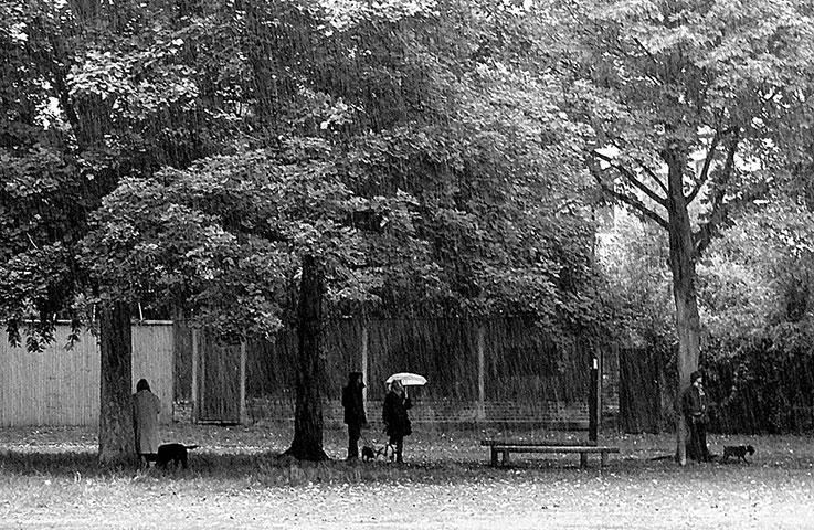 Readers gallery Oct 2012: Rain on Wandsworth Common, south London