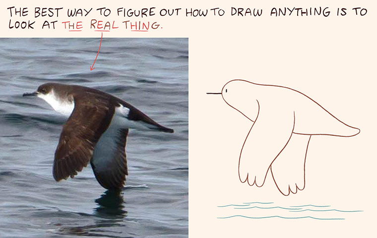 Luke Pearson How to Draw: Luke Pearson's How to Draw... birds 9