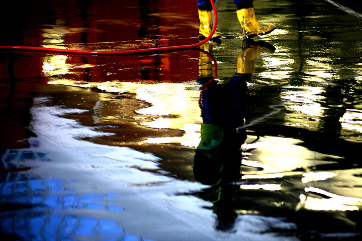 BT 2012 gallery winners: fish markets in Brixham and Plymouth, south Devon
