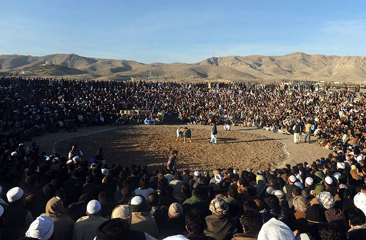 24小时:观众观看阿富汗的摔跤手