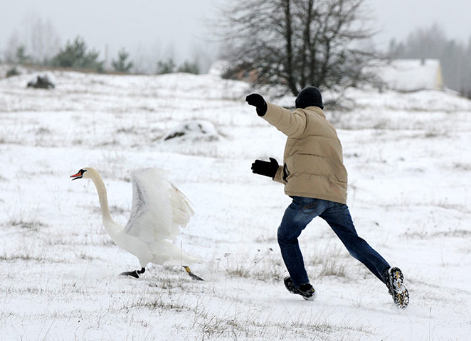 http://static.guim.co.uk/sys-images/Guardian/Pix/pictures/2012/12/6/1354824043801/Belarus-ornithologists-tr-003.jpg