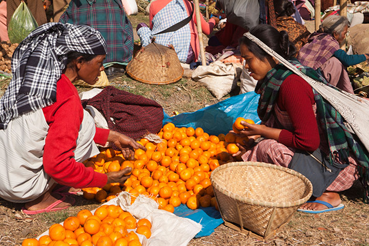 Viewfinder9: Market