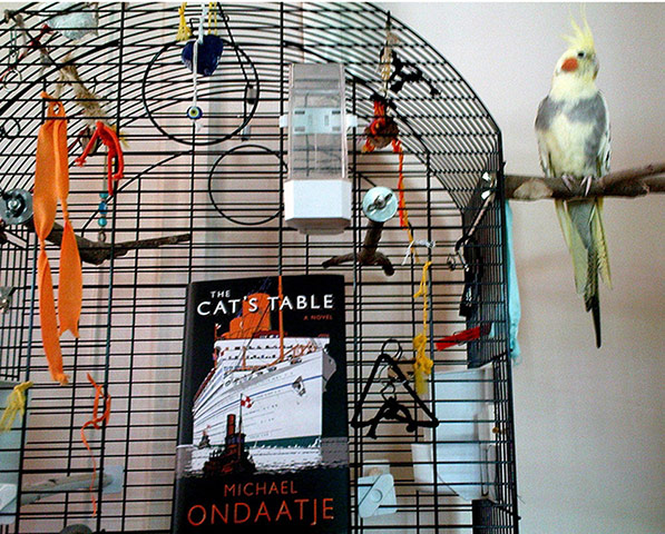 Books / Readers Photos: cat's table