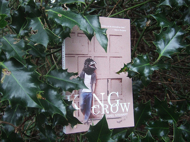 Readers Pics: King Crow