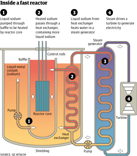 Nuclear fast reactor