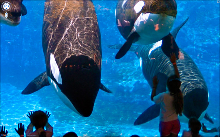 9 eyes google streetview: Seaworld, San Diego, California, United States 2009