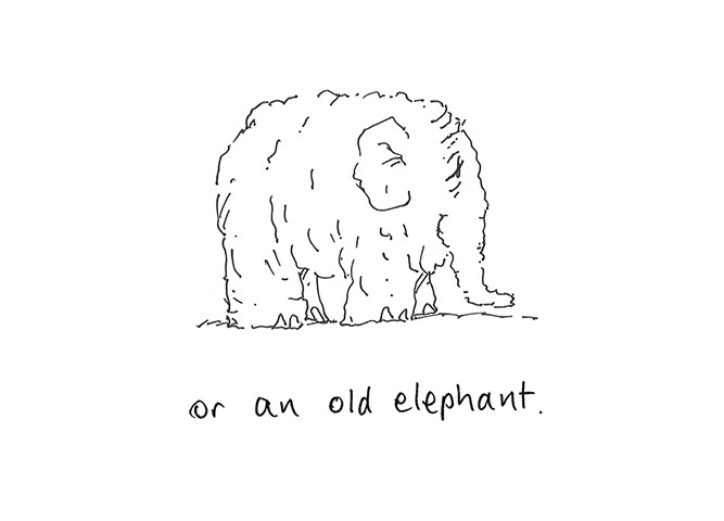 David McKee: How to Draw Elephants 