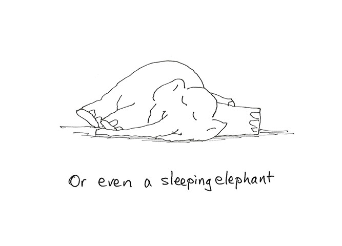 David McKee: How to Draw Elephants 
