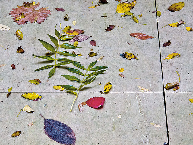 John Pawson Photos: John Pawson A Visual Inventory, published by Phaidon, leaves 