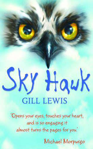 Book Covers: Sky Hawk book cover