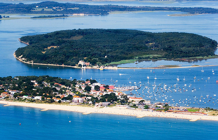 spring sites: Brownsea Island, Dorset