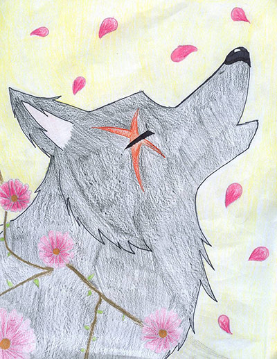 Wolves gallery: Naomi F