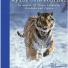 Easter Books (8-12): Easter Books for Children (8-12)  - My Big Cats Journal