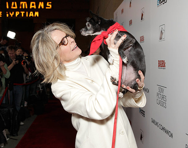 Week in film: Diane Keaton and a rescue dog attend the premiere of Darling Companion