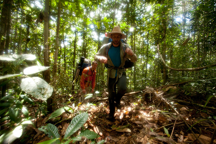 Amazonclimb: Sleepwalking