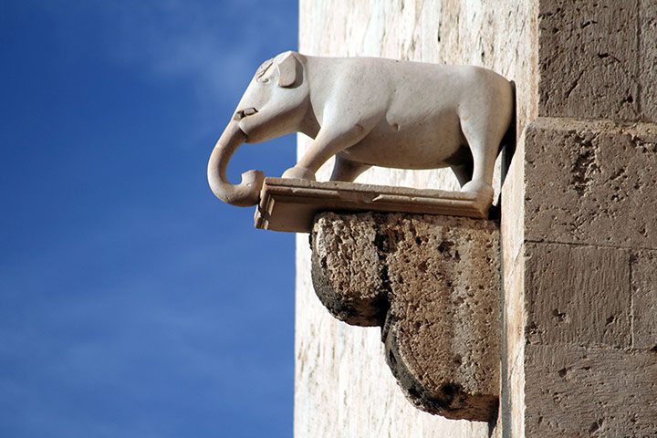 Viewfinder8: Elephant