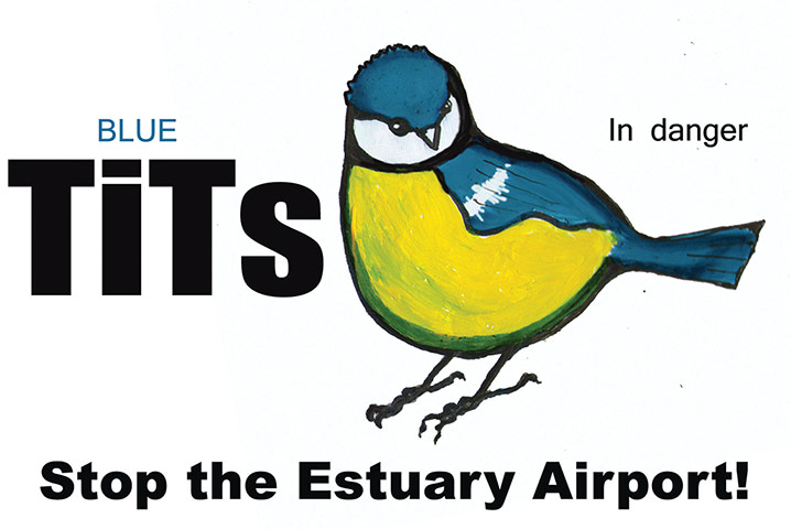 Thames Estuary Airport: Cartoons from Creative Coalition about Boris Island airport plans