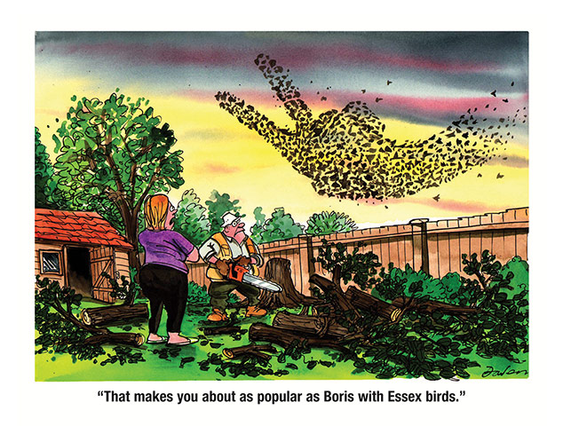 Thames Estuary Airport: Cartoons from Creative Coalition about Boris Island airport plans