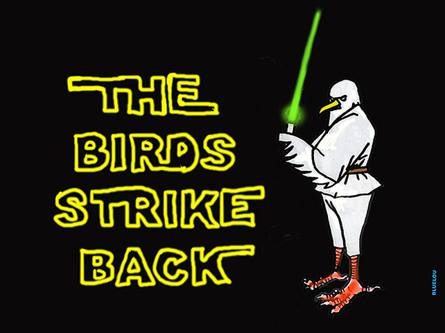Thames Estuary Airport: Cartoons from Creative Coalition about Boris Island airport plans