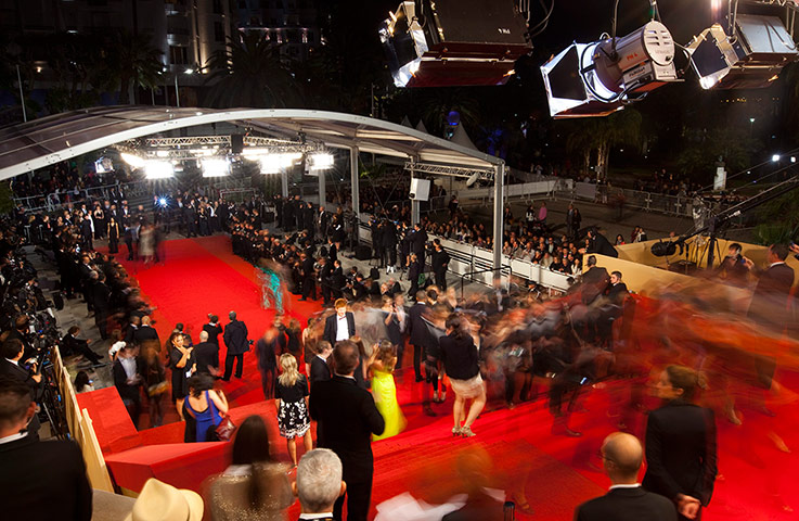 Cannes day 7 in pictures: Cannes day 7 premieres