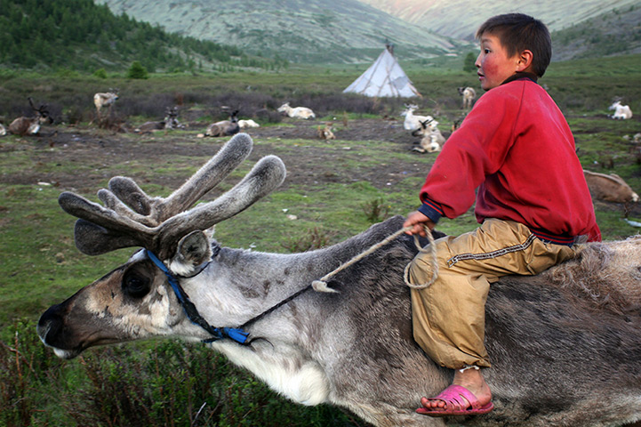 Photo Comp June: A young Tsaatan boy rides by on his reindeer in East Taiga, Mongolia.
