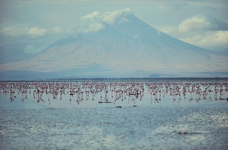 Eyewitness extra: Lake Natron