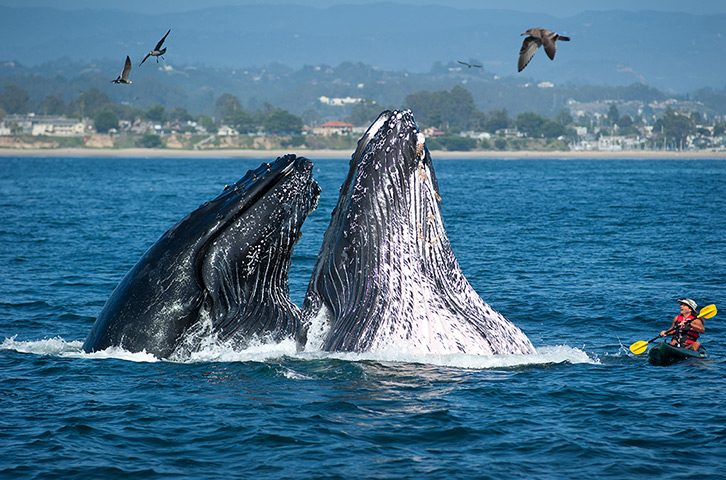 Eyewitness extra: Seabright State Beach in Santa Cruz, California