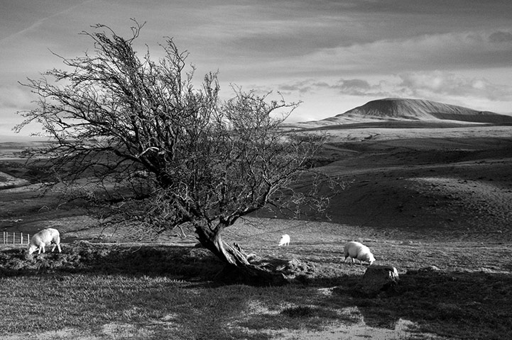Wales book photography: Fan Foel, The Black Mountain, South-West Wales