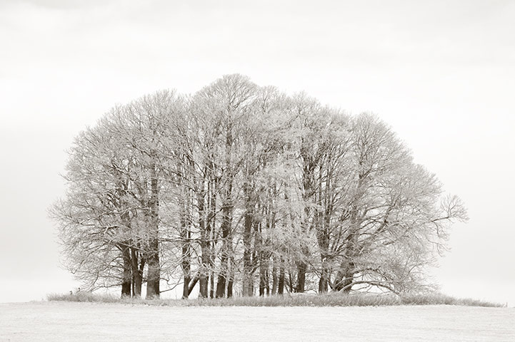 Wales book photography: Dinefwr Park, Llandeilo, Carmarthenshire