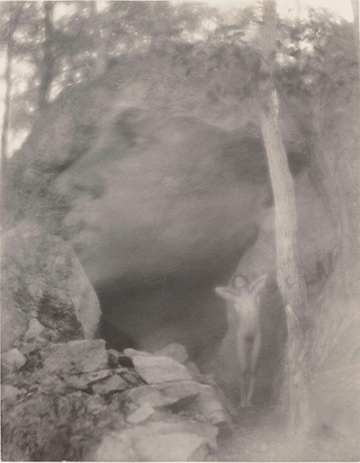 Faking it at NY met : Faking It: Manipulated Photography Before Photoshop at The MoMA