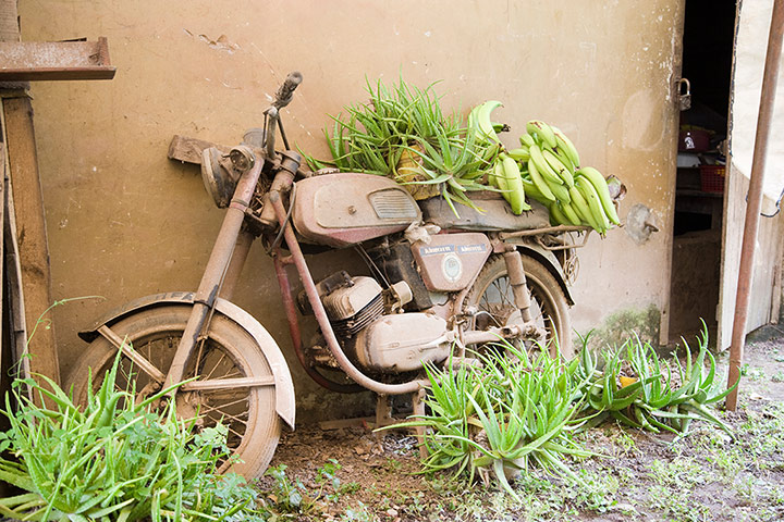 Africa Express: Fela Kuti's birthplace, Abeokuta, Nigeria, 2009