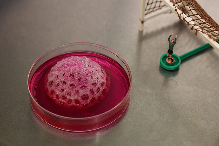 Abandon Normal Devices: John O’Shea, Pigs Bladder Football (2012)