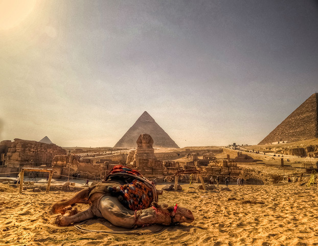 august photo competition: Sphinx and the Pyramids of Giza, Egypt