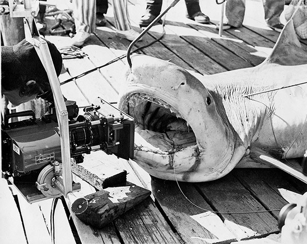 Jaws: Spielberg lines up a shot