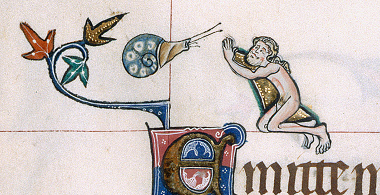 Knight V Snail In Pictures Books The Guardian