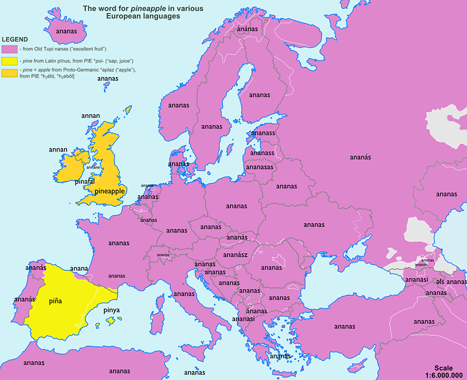 Pain in the ananas: etymology maps | News | theguardian.com