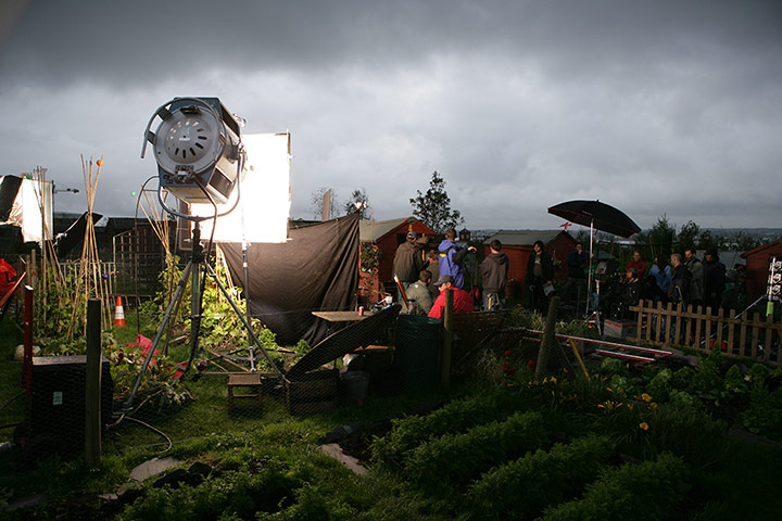 Warp films: Warp Films Grow Your Own