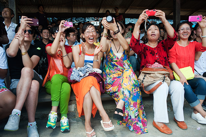 Chinese tourists: Elephant show at the Nong Nooch