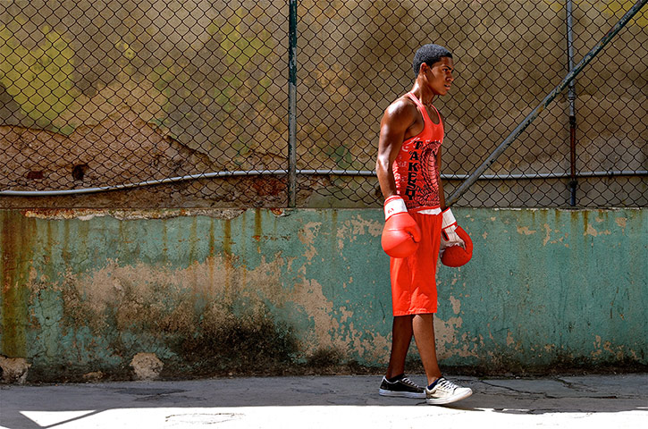 Readers' photos: colour: Boxer, Havana, Cuba