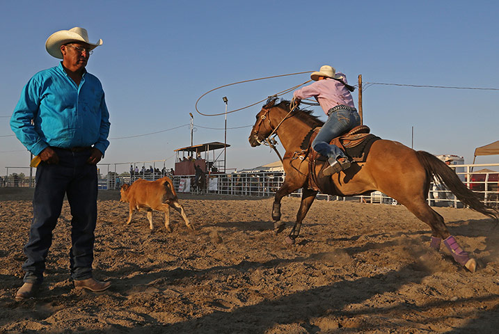 KevinYear: Steer roping in Montana, US