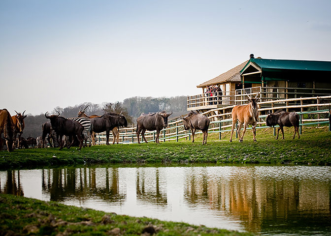 Unusual hotels: Livingstone Lodge