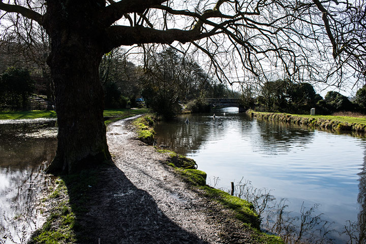 ChrisPackhamHampshire: Itchen Navigation towpath Hampshire