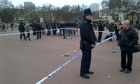 Taser incident outside Buckingham Palace