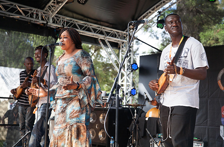 Adelaide festival day 10: Bassekou Kouyate and Ngoni Ba Workshop play on the Zoo Stage 
